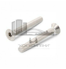 Винт ISO 10642 (A4) с потайной головкой и внутренним шестигранником, M20X110