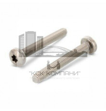 Винт ISO 14583 (A4) с полуцилиндрической головкой шлиц Torx, M6X35