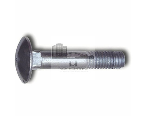 Болт DIN 603 F (A2) с полукруглой головкой неполной резьбой и квадратным подголовком, M10X55