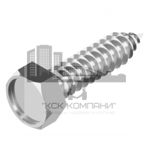 Винт самонарезающий DIN 7976 (A2) с острым концом с шестигранной головкой, D8X16