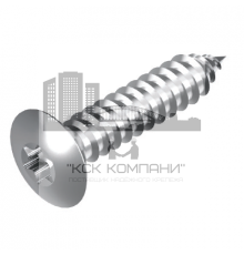 Винт самонарезающий DIN 7983 TX (A4) с острым концом с полупотайной головкой шлиц Torx, D5,5X38