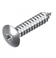 Винт самонарезающий DIN 7983 TX (A4) с острым концом с полупотайной головкой шлиц Torx, D5,5X38