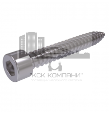 Винт DIN 912 BL (A4) с острым концом с цилиндрической головкой шлиц шестигранник, D4,8X13