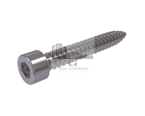 Винт DIN 912 BL (A4) с острым концом с цилиндрической головкой шлиц шестигранник, D5,5X13