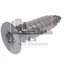 Винт самонарезающий ISO 14586 (A4) с острым концом с потайной головкой шлиц Torx, D3,5X38