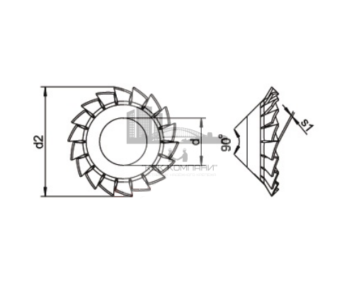 Шайба DIN 6798 форма V стопорная вогнутая с наружными зубцами (оцинкованная сталь), M5x5.3 мм