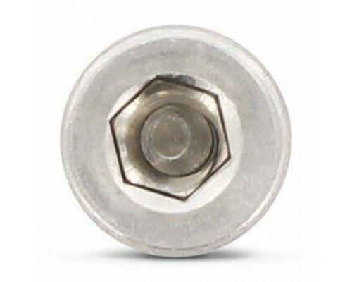 Винт DIN 6912 (A4) с низкой цилиндрической головкой и шестигранником, M10X20
