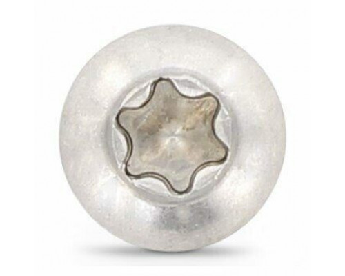 Винт ISO 7380 (A2) с полукруглой головкой шлиц Torx, M5X20