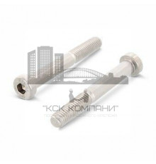 Винт DIN 7984 (A4) с низкой цилиндрической головкой и внутренним шестигранником, M5X25