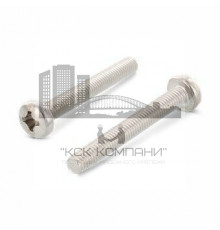 Винт DIN 7985 H (A4) с полуцилиндрической головкой шлиц Phillips, M5x80 мм