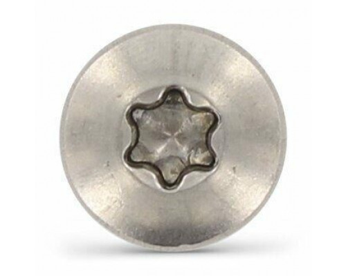 Винт DIN 7985 (A2) с полуцилиндрической головкой шлиц Torx, M4X10