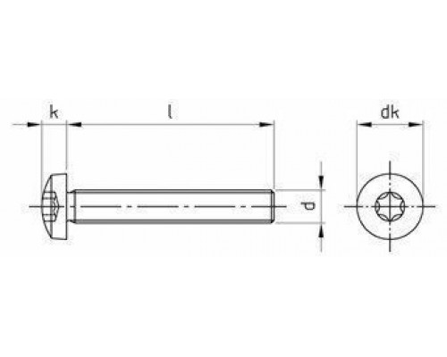 Винт DIN 7985 (A2) с полуцилиндрической головкой шлиц Torx, M8X20