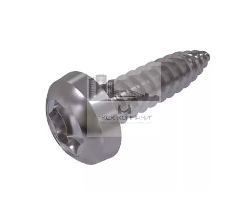 Винт самонарезающий DIN 7981 TX (A2) с острым концом с полуцилиндрической головкой шлиц Torx, D3,9X50
