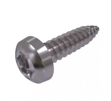 Винт самонарезающий DIN 7981 TX (A2) с острым концом с полуцилиндрической головкой шлиц Torx, D5,5X19