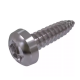 Винт самонарезающий DIN 7981 TX (A2) с острым концом с полуцилиндрической головкой шлиц Torx, D2,9X32