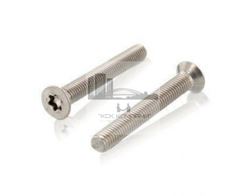 Винт DIN 965 (A4) с потайной головкой шлиц Torx, M3X10