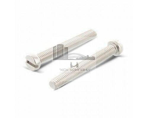 Винт DIN 84 (A2) с цилиндрической головкой шлиц прямой, M10X20