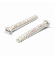 Винт DIN 84 (A4) с цилиндрической головкой шлиц прямой, M10X25