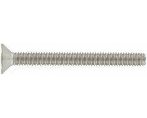 Винт DIN 965 (A2) с потайной головкой шлиц Torx, M2,5X10