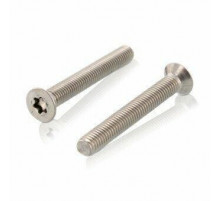 Винт DIN 965 (A2) с потайной головкой шлиц Torx, M2X4
