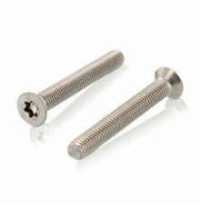 Винт DIN 965 (A4) с потайной головкой шлиц Torx, M2,5X12