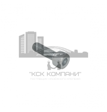 Болт с внутренним шестигранником WALRAVEN BIS ISO 4762 оцинкованная сталь, M10x15мм