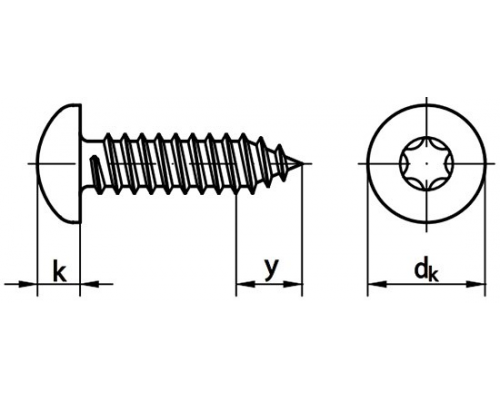 Винт самонарезающий DIN 7981 TX (A4) с острым концом с полуцилиндрической головкой шлиц Torx, D2,9X13