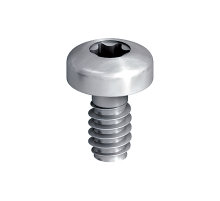Винт самонарезающий EJOT (ЭЙОТ) Duro PT S с полукруглой головкой и шлицем Torx для крепления HPL-панелей и фиброцементных плит (нержавеющая сталь A4/AIS