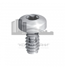 Винт самонарезающий EJOT (ЭЙОТ) Duro PT S с полукруглой головкой и шлицем Torx для крепления HPL-панелей и фиброцементных плит (нержавеющая сталь A4/AIS