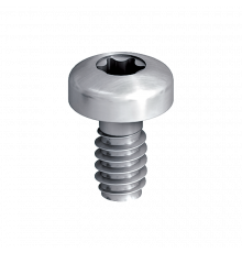 Винт самонарезающий EJOT (ЭЙОТ) Duro PT S с полукруглой головкой и шлицем Torx для крепления HPL-панелей и фиброцементных плит (нержавеющая сталь A4/AIS