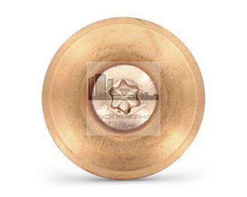 Art. 9089 A2-Cu 4,5X20 TX20 Шуруп по дереву с полупотайной головой с закрепленной EPDM-шайбой (25 мм), шлиц TX  купить в Москве