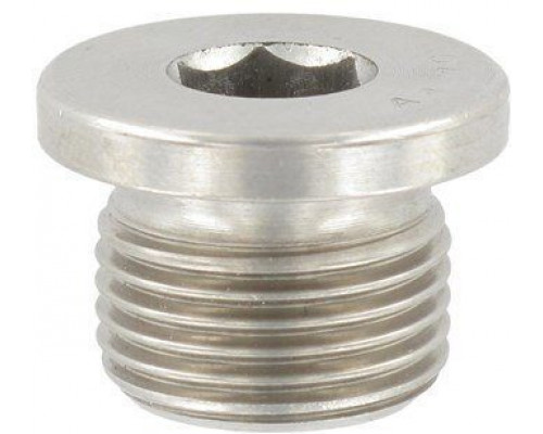 DIN 908 A2 M 24X1,5 согласно DIN 13 Пробка резьбовая с метрической резьбой нержавеющая с буртом и шестигранным углублением под ключ  купить в Москве
