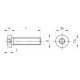 ISO 7380-1 A2 M 5X80/80 TX25 Винт нержавеющий с полукруглой головой и звездообразным шлицем TX (Torx)