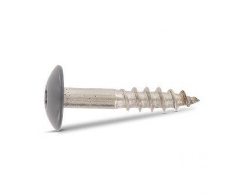 Art. 9086 A2 4,8X38 TX20 - RAL 7012 Саморез с расширенной низкой полукруглой головкой, неполной резьбой и звездообразным шлицем TX