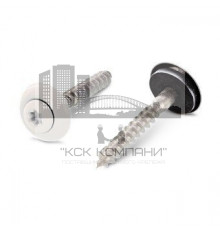 Art. 9087 A2 4,5X100 TX20 - RAL 9010 Шуруп c полупотайной головкой и двухсоставной шайбой, со свободной EPDM прокладкой и звездообразным шлицем TX (TORX) нержаве