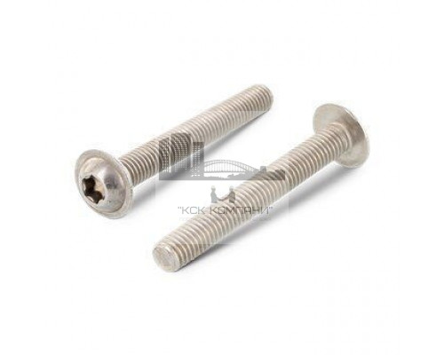 ISO 7380-2 A2 M 2X10/10 TX6 Винт нержавеющий с полукруглой головой, звездообразным шлицем TX (Torx) и фланцем