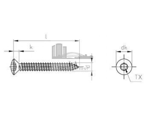 ISO 14587 A4 C 5,5X32 TX25 Винт самонарезающий с полупотайной головкой и звездообразным шлицем TX (TORX), форма С - острый конец нержавеющий  купить в Москве