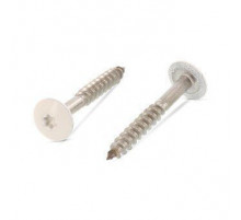 Art. 9086 A2 4,8X25 TX20 - RAL 9001 Саморез с расширенной низкой полукруглой головкой, неполной резьбой и звездообразным шлицем TX