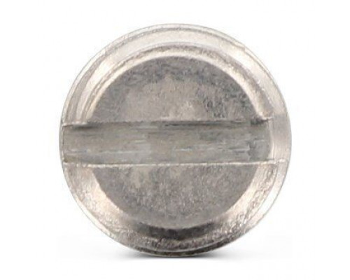 DIN 438 A2 M 6X8 Винт установочный с засверленным концом и прямым шлицем нержавеющий