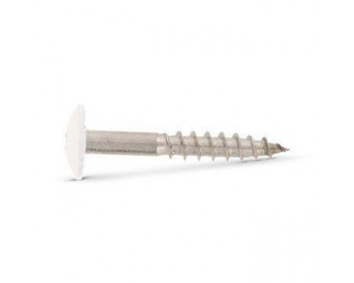 Art. 9086 A2 4,8X32 TX20 - RAL 9010 Саморез с расширенной низкой полукруглой головкой, неполной резьбой и звездообразным шлицем TX