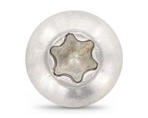 ISO 7380-1 A2 M 3X8/8 TX10 Винт нержавеющий с полукруглой головой и звездообразным шлицем TX (Torx)