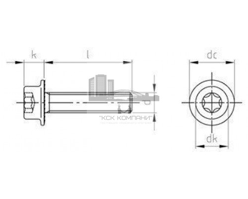 Art. 14579 A2 M 8X25/25 TX40 Винт нержавеющий с цилиндрической головой, с фланцем и насечками под шляпкой, с звездообразныv шлицем TX (Torx)
