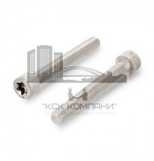ISO 14579 A4 M 6X55/55 TX30 Винт нержавеющий с цилиндрической головой и звездообразным шлицем TX (Torx)