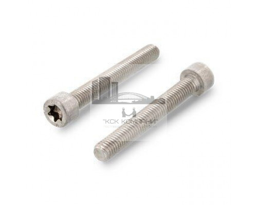 ISO 14579 A4 M 4X8 TX20 Винт нержавеющий с цилиндрической головой и звездообразным шлицем TX (Torx)