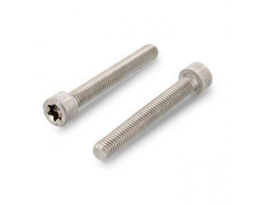 ISO 14579 A4 M 4X30 TX20 Винт нержавеющий с цилиндрической головой и звездообразным шлицем TX (Torx)