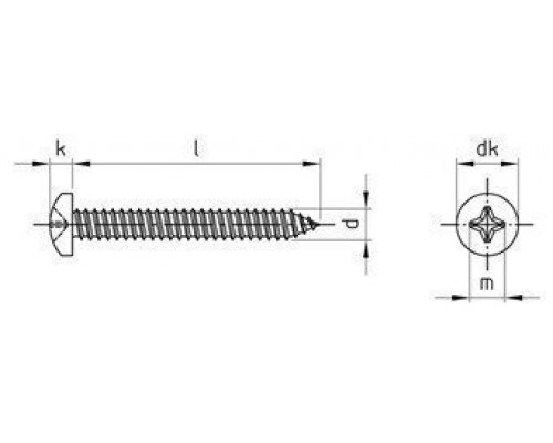 DIN 7981 A2 C 5,5X25 H Винт самонарезающий с полукруглой головой с крестообразным шлицем PH (Phillips) нержавеющий, форма С - острый конец