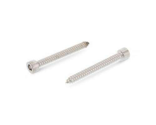 DIN 912 A2 C 4,8X25 Винт самонарезающий с цилиндрической головкой и внутренним шестигранником нержавеющий  купить в Москве