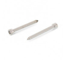 DIN 912 A2 C 5,5X75 Винт самонарезающий с цилиндрической головкой и внутренним шестигранником нержавеющий