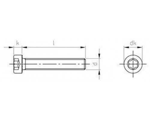 ISO 14580 A2 M8X55/55 TX40 Винт с низкой цилиндрической головой и звездообразным шлицем TORX