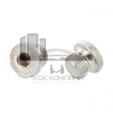 DIN 908 A2 G 1 1/2" согласно DIN 228 Пробка резьбовая с трубной цилиндрической резьбой Уитворта нержавеющая с буртом и шестигранным углублением по